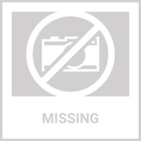 Rustic Santa Fe Outdoor Coach Lantern Light Fixture